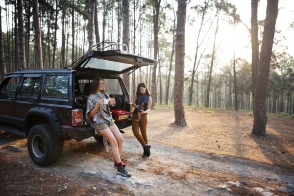 4WD in jungle